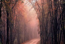 ayx爱游戏体育：11中9得到22分！吉莱斯皮：没太关注转正 努力赢下尽可能多的比赛.