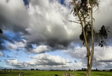 ayx爱游戏体育:2025深港马拉松赛暨第十五届全国运动会田径(马拉松)测试赛开跑.